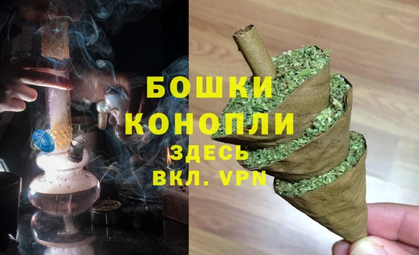 бошки Медногорск