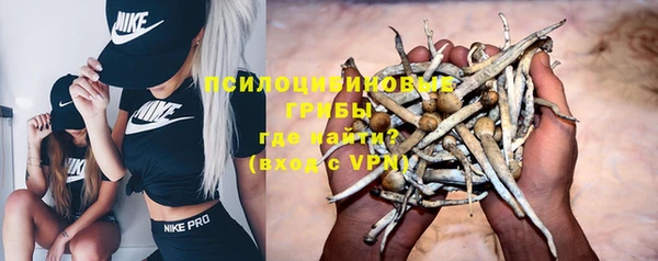 бошки Медногорск