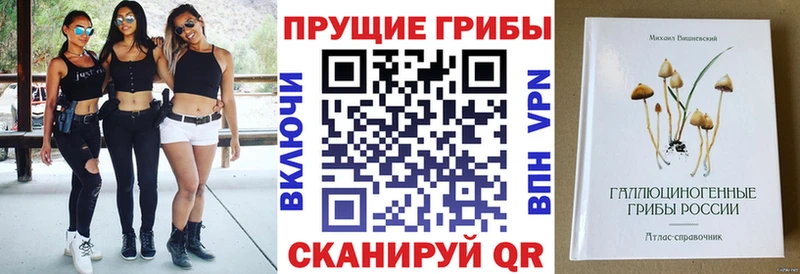 Псилоцибиновые грибы прущие грибы  Тверь 