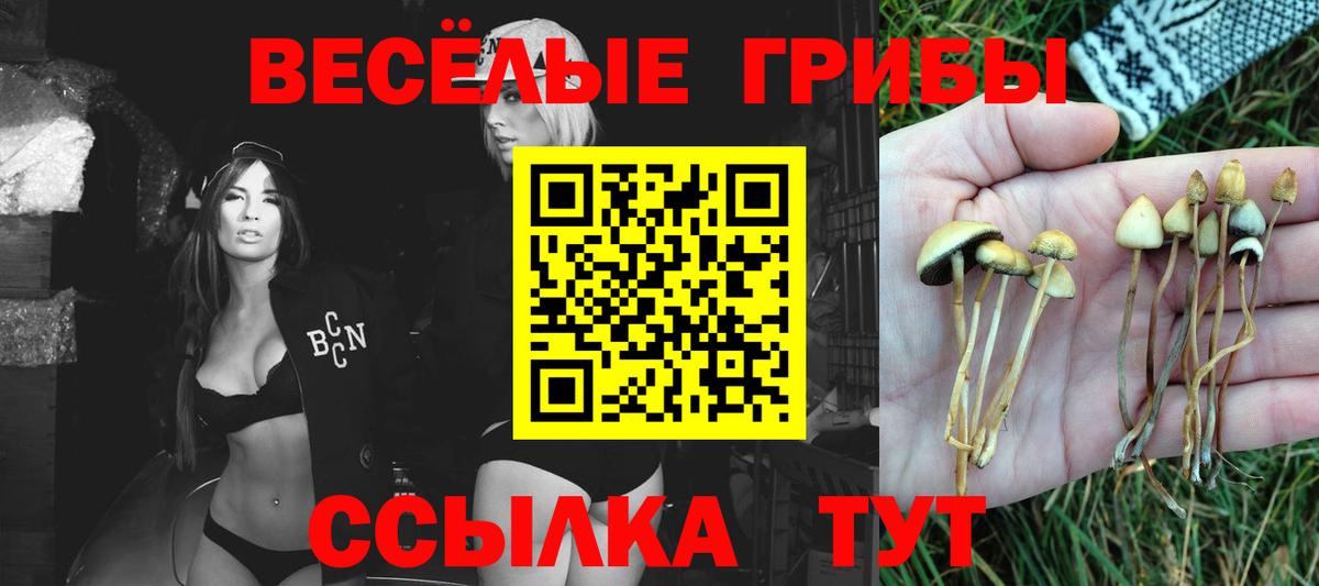Галлюциногенные грибы Cubensis  Галлюциногенные грибы GOLDEN TEACHER  Вход с VPN  Тверь 